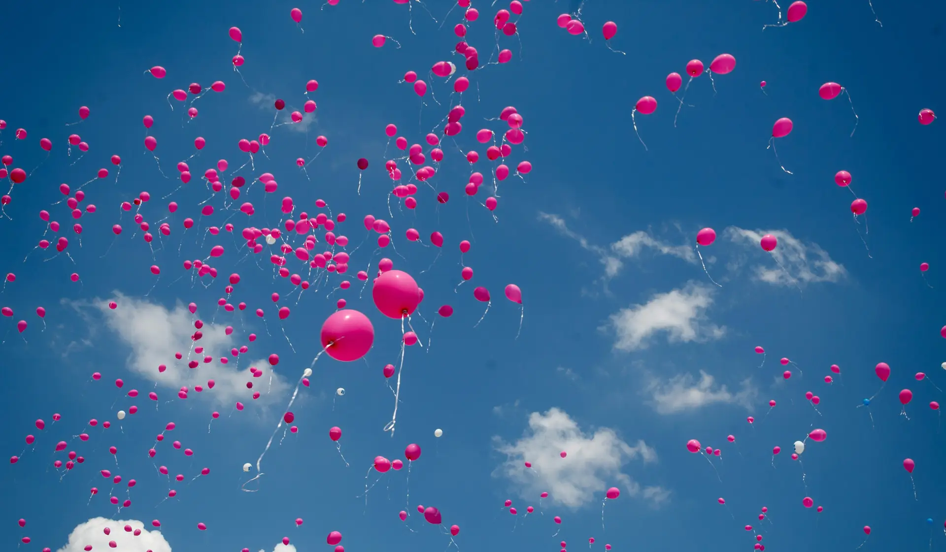 breast cancer recovery coaching
