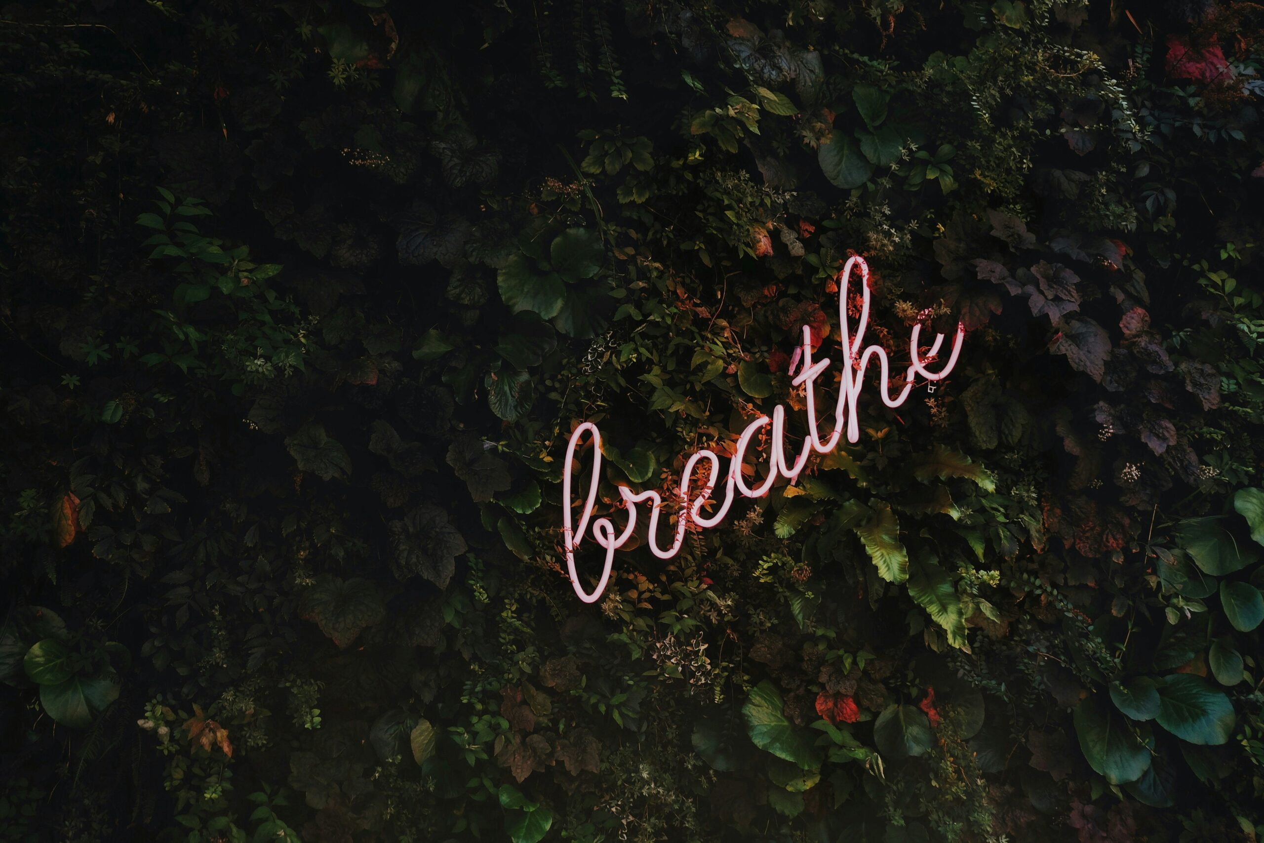 Work with a career and life coach online. Acorn Consulting offers tailored coaching to help you move forward with confidence.